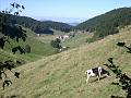lessinia 11